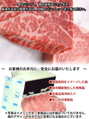 【ふるさと納税】土佐和牛A5特選ランプステーキ100g×2枚セット牛肉
