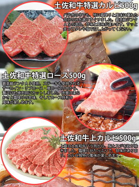 【ふるさと納税】土佐のメガ焼肉大袋4.4kg特選カルビ 特選ロース 上カルビ なかおちカルビ もも 豚トロ 豚バラ 鶏もも ソーセージ焼き肉 やきにく ヤキニク バーベキュー BBQ送料無料 焼肉セット 特産品 高知県産 ギフト 【SaNeYam】(新)