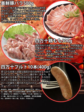 【ふるさと納税】土佐の焼肉大袋3.4kg上カルビ なかおちカルビ もも 豚トロ 豚バラ 鶏もも ソーセージ焼き肉 やきにく ヤキニク バーベキュー BBQ送料無料 焼肉セット 特産品 高知県産 ギフト 【SaNeYam】(新)