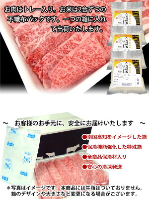 【ふるさと納税】南国土佐からの大自然の恵みセット(2)