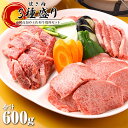 【ふるさと納税】南国高知の 土佐和牛 焼肉セット600g200g×3種 焼肉 牛肉 牛 肉 国産 和牛 上カルビ ロース モモ ヤキニク バーベキュー BBQセット 詰め合わせ 冷凍 配送 焼き肉 送料無料 特産品 お中元 御中元 のし 熨斗 高知 返礼品 ＜高知市共通返礼品＞