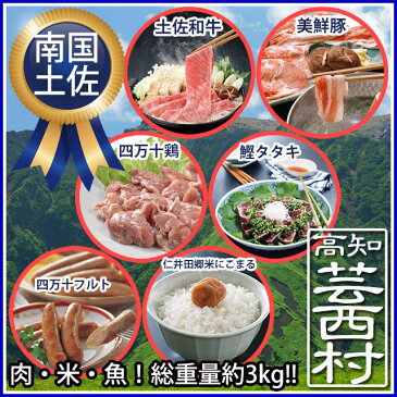 【ふるさと納税】南国土佐からのバラエティセット(3kg)和牛 豚肉 鶏肉 ソーセージ 鰹のタタキ 高級米すき焼き しゃぶしゃぶ 牛肉 福袋送料無料 高知県産 特産品 ギフト 【SaNeYam】