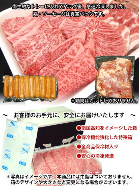 【ふるさと納税】土佐の焼肉パーティーセット2kg上カルビ なかおちカルビ もも 豚トロ 鶏もも ソーセージ焼き肉 やきにく ヤキニク バーベキュー BBQ送料無料 焼肉セット 特産品 高知県産 ギフト 【SaNeYam】