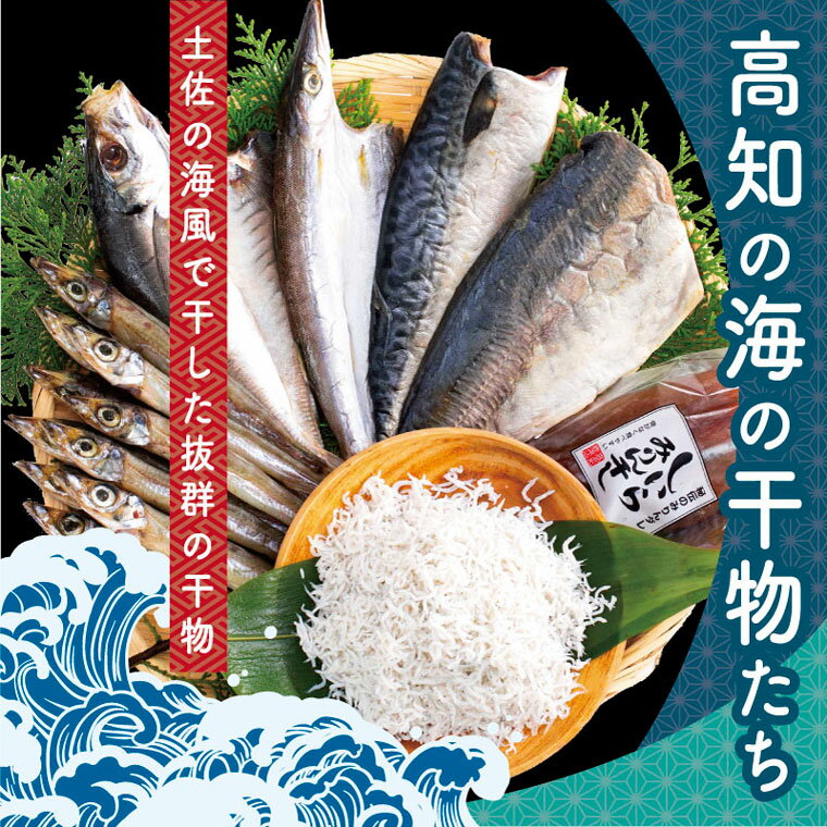 コロナ 緊急支援 故郷納税 9000円 海鮮 干物 ひもの 高知の海の干物たち 全7種 ＜土佐の海風で干した抜群の干物を＞＜高知市・南国市共通返礼品＞