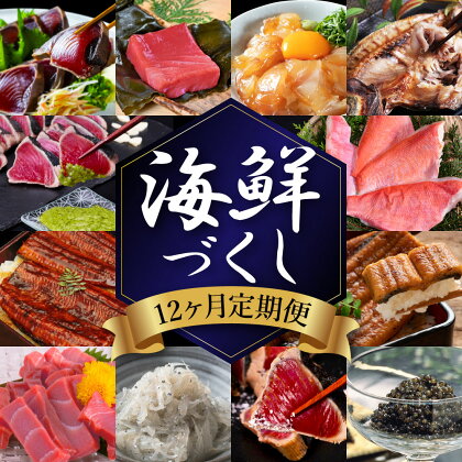 《12ヵ月定期便》芸西村の海鮮づくし定12ヵ月定期便(月固定)魚 カツオ 鰹 タタキ わけあり ワケあり マグロ 漬け 人気 お楽しみ 赤身 海鮮 中トロ 銀象 ぬた 土佐 キンメ うなぎ 鰻