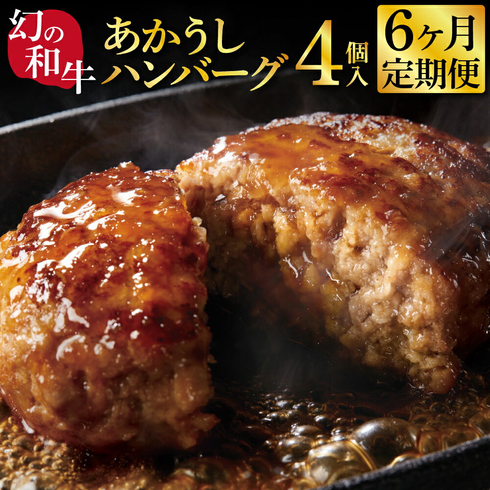 故郷納税《6か月定期便》人気惣菜 数量限定 牛肉 豚肉 創業50年老舗レストランの幻の和牛あかうしハンバーグ130g×4コ＋特製デミソース×1袋、特製トマトソース×1袋 焼くだけ 溢れる肉汁 土佐あか牛 ハンバーグ 小分け 緊急支援品