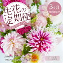 【ふるさと納税】 故郷納税《3ヵ月定期便 》芸西村産季節の花束 フラワーアレンジメント ブルースター トルコキキョウ ダリヤ 【生産者直送】