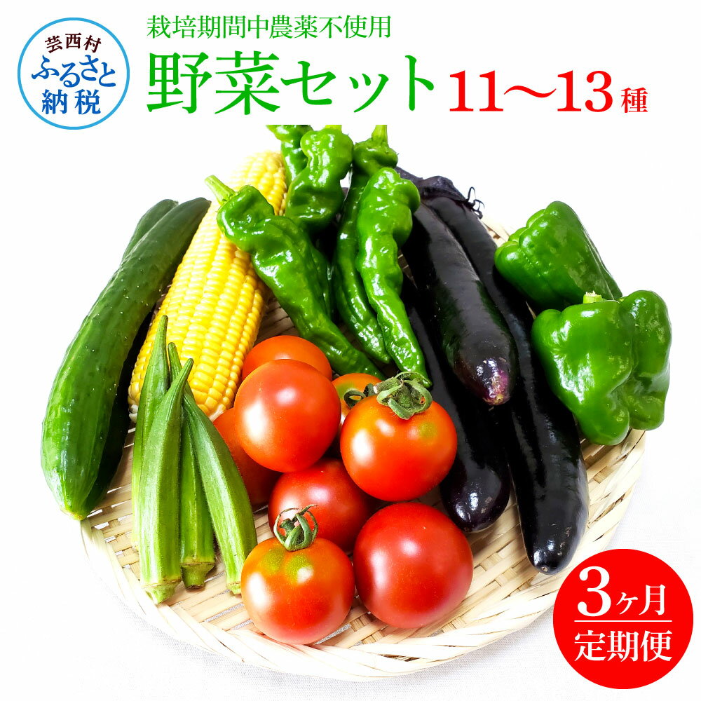 【ふるさと納税】野菜セット（11‐13種類）《3カ月定期便》