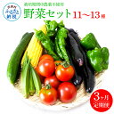 【ふるさと納税】野菜セット（11‐13種類）《3カ月定期便》 栽培期間中農薬不使用！ 季節の野菜 定期コース 定期 無農薬 野菜 やさい 新鮮 自然 健康 セット 詰め合わせ 冷蔵 美味しい おいしい 食べ物 食材 秋 旬の味覚 ご当地 お取り寄せ 芸西村 30000円 故郷納税 返礼品