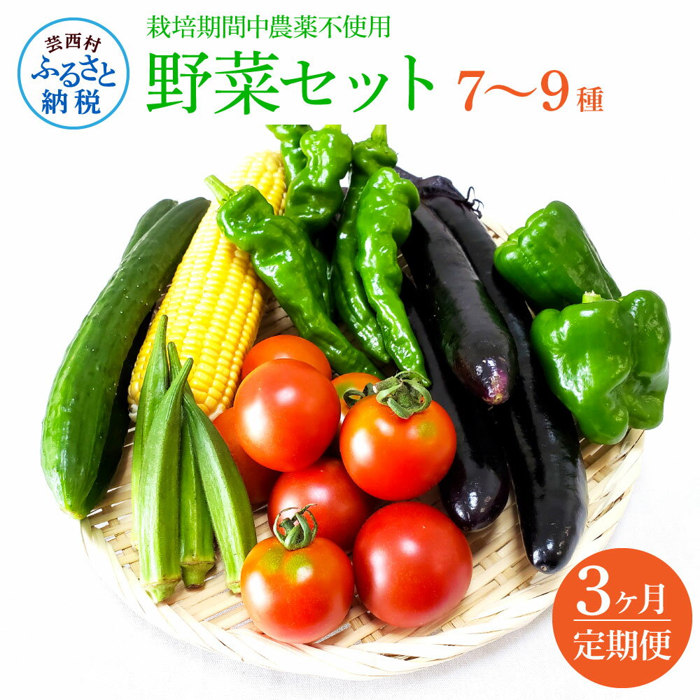 【ふるさと納税】野菜セット（7‐9種類） 《3カ月定期便》 栽培期間中農薬不使用！ 季節の野菜 定期コース 定期 無農薬 野菜 やさい 新鮮 自然 健康 セット 詰め合わせ 冷蔵 美味しい おいしい 食べ物 食材 秋 旬の味覚 ご当地 お取り寄せ 芸西村 15000円 故郷納税 返礼品･･･