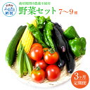 8位! 口コミ数「4件」評価「3.5」野菜セット（7‐9種類） 《3カ月定期便》 栽培期間中農薬不使用！ 季節の野菜 定期コース 定期 無農薬 野菜 やさい 新鮮 自然 健康 セ･･･ 