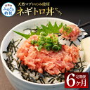 26位! 口コミ数「0件」評価「0」《6ヶ月定期便》天然マグロのタタキ丼セット 65g×6P 6ヶ月 定期コース 定期 高知県 返礼品 42000円 海鮮 天然 まぐろ 鮪 ネ･･･ 