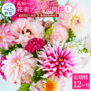 16位! 口コミ数「0件」評価「0」 《12ヵ月定期便》生花花束 ブーケ 初回花瓶付L 定期便 定期コース 全12回 初回花瓶付き 延命剤付き 花びん 生花 花束 ブーケ 花 ･･･ 