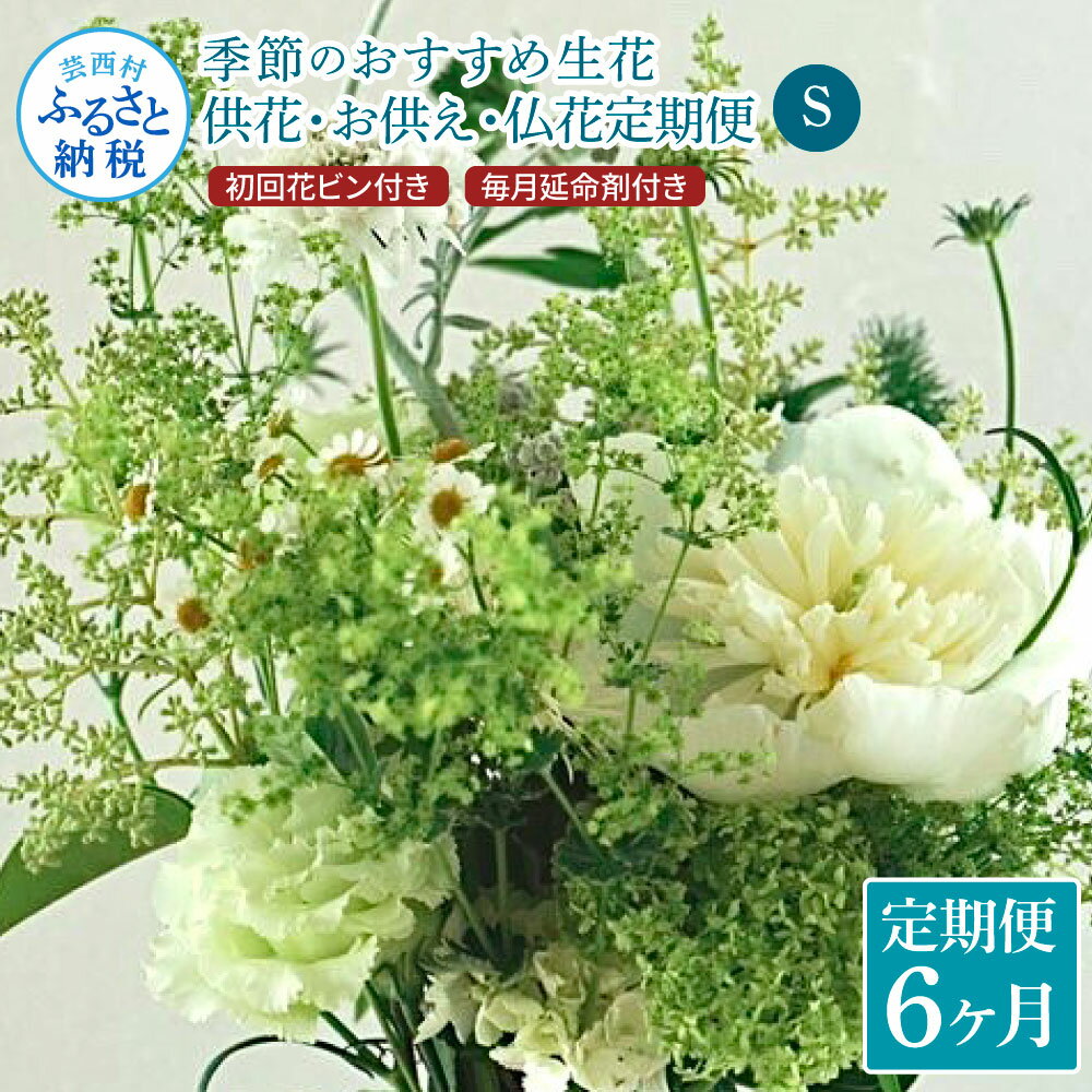 3位! 口コミ数「0件」評価「0」 《6ヵ月定期便》花束一束 お供え 初回花瓶付S 定期便 定期コース 全6回 初回花瓶付き 延命剤付き 花びん 生花 仏花 供花 花束 はな･･･ 