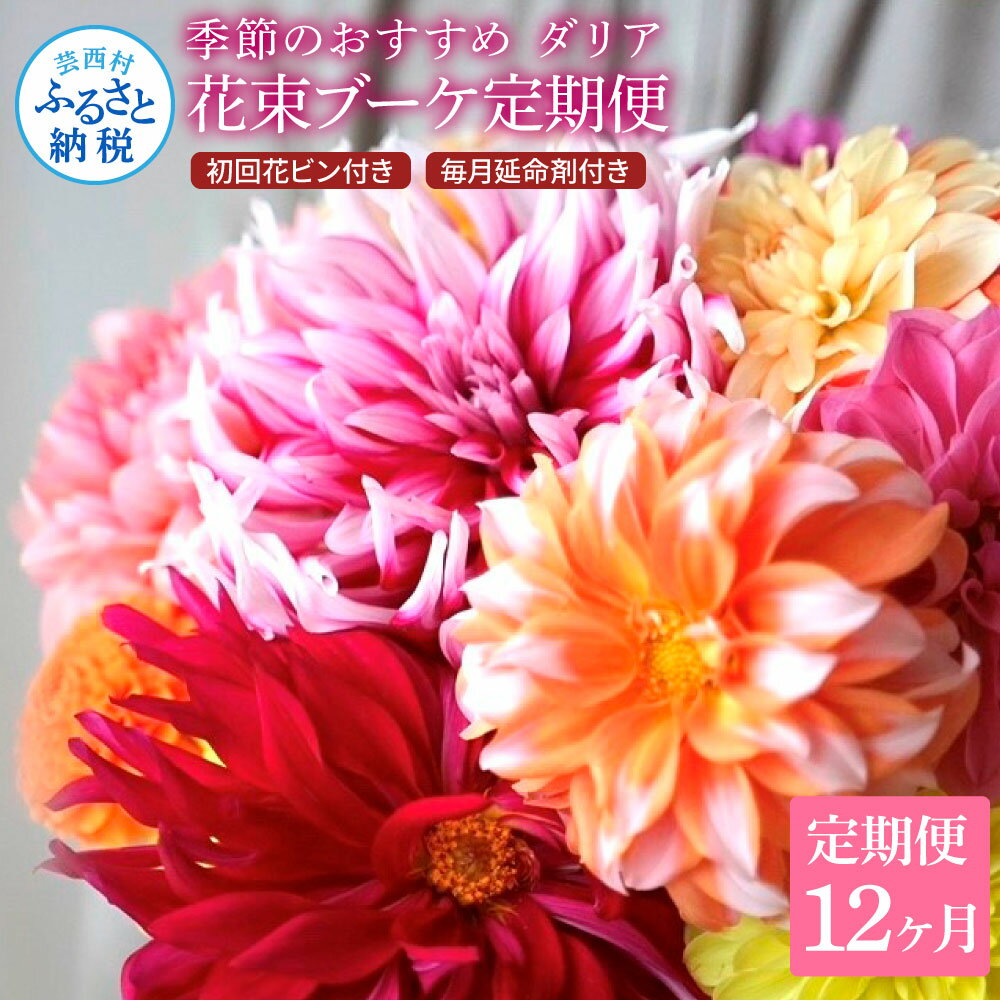 【ふるさと納税】 《12ヵ月定期便》 ダリア 花束 初回花瓶付 定期便 定期コース 全12回 延命剤付き ラ...