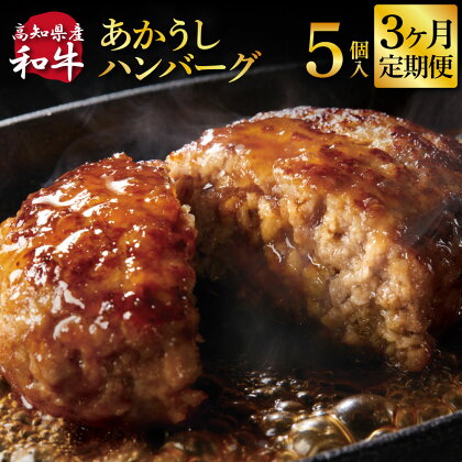 ＜3ヶ月定期便＞ 創業50年老舗レストランの幻の和牛あかうしハンバーグ130g×5ケ 土佐あかうし 美鮮豚 牛肉 高級 ハンバーグ 冷凍 美味しい 肉汁ハンバーグ 焼くだけ 小分け 個包装 高級 国産 定期便 定期コース 3ヵ月 故郷納税 高知県 返礼品 24000円