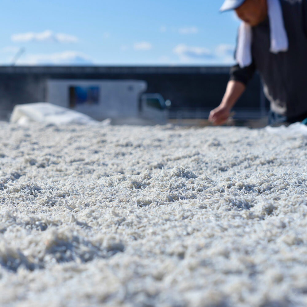 【ふるさと納税】釜あげちりめんセット 1.5~3kg 1.5~3キロ タレ付き 500g×3~6袋 シラス 小分け おじゃこ ちりめんじゃこ ふわふわ 国産 釜揚げ しらす丼 海鮮丼 ごはん ご飯 おにぎり おかず お取り寄せ 美味しい 冷凍 配送 高知県 高知 故郷納税 ふるさとのうぜい 芸西村