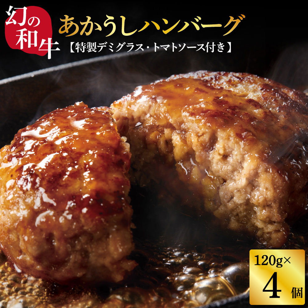 創業50年老舗レストランの幻の和牛あかうしハンバーグ120g×4コ+特製デミソース×1袋、特製トマトソース×1袋 人気惣菜 数量限定 牛肉 豚肉 故郷納税 9000円 焼くだけ 溢れる肉汁 土佐あか牛 故郷納税 ランキング 人気 おすすめ