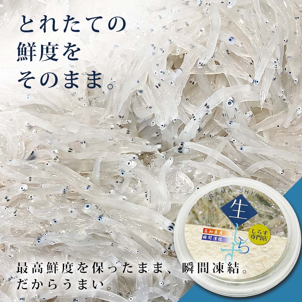 【ふるさと納税】釜揚げしらす 生しらす 天使の宝石 210g～700g シラス 小分け おじゃこ ちりめんじゃこ ふわふわ 国産 釜揚げ しらす丼 海鮮丼 ごはん ご飯 おにぎり おかず 離乳食 お取り寄せ 美味しい 冷凍 冷蔵 配送 高知県 故郷納税 ふるさとのうぜい 芸西村 f393070-geisei-10002073 高知県芸西村 サンプル画像2