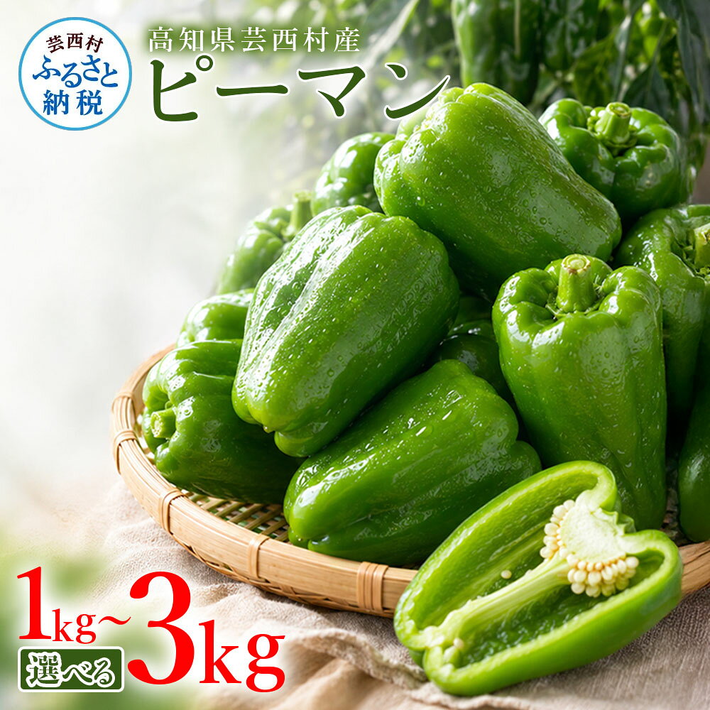 【ふるさと納税】ピーマン 1～3kg P.SUKE（ピースケ）野菜 新鮮 みずみずしい 肉厚 料理 サラダ スティック野菜 野菜炒め 肉詰め 青椒肉絲 高知県 芸西村 ふるさとのうぜい 故郷納税