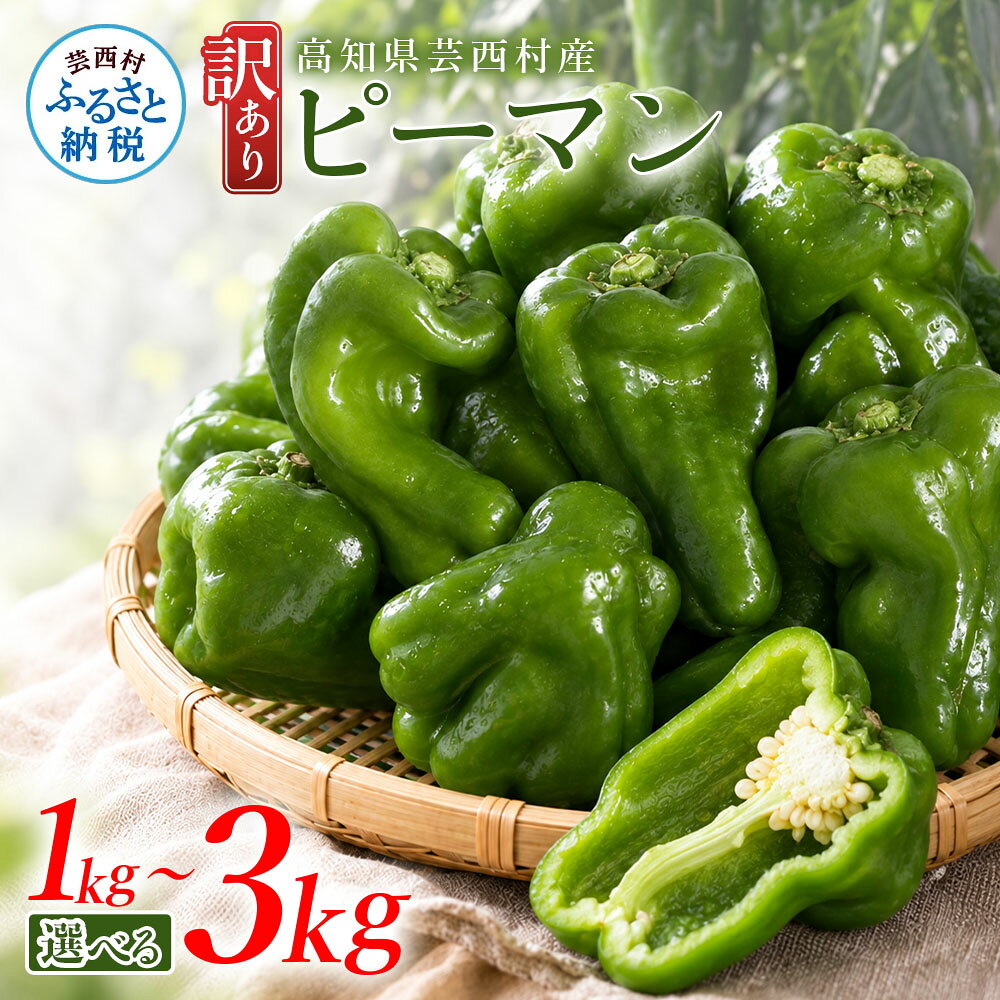 訳ありピーマン 1～3kg P.SUKE（ピースケ）野菜 新鮮 みずみずしい 肉厚 料理 サラダ スティック野菜 野菜炒め 肉詰め 青椒肉絲 高知県 芸西村 ふるさとのうぜい 故郷納税
