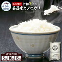【ふるさと納税】新米 令和7年 芸西米(げいせいまい)