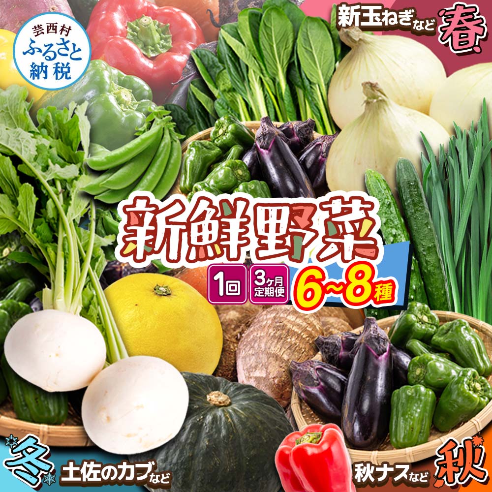 野菜 朝採れ 野菜詰め合わせ 5000円 12000円 定期便 朝獲れ セット 芸西村の新鮮野菜6〜8種類 野菜 詰め合わせ お試し 新鮮 食べ比べ 特産品 ピーマン 環境 ナス 旬 支援品 故郷納税 野菜セット 産地直送 こだわり栽培 環境に優しい ランキング 人気