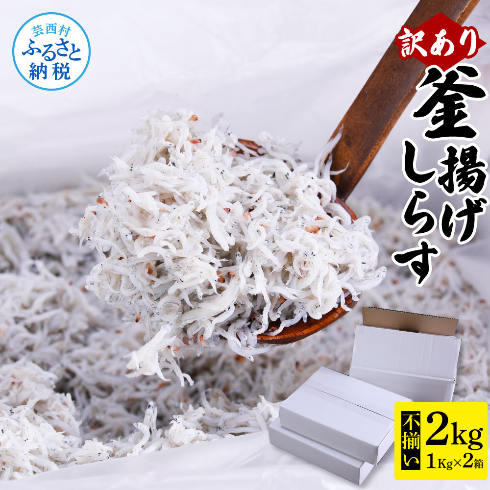 訳あり 釜揚げ しらす 1kg×2個 合計2kg 魚 魚介 ご飯のお供 ごはんのお供 しらす干し 釜揚げシラス 大容量 わけあり 不揃い 規格外 シラス 国産 新鮮 しらす丼 冷凍配送 おにぎり 減塩 塩分控えめ 離乳食 返礼品 14000円 じゃこ 食品 海産物
