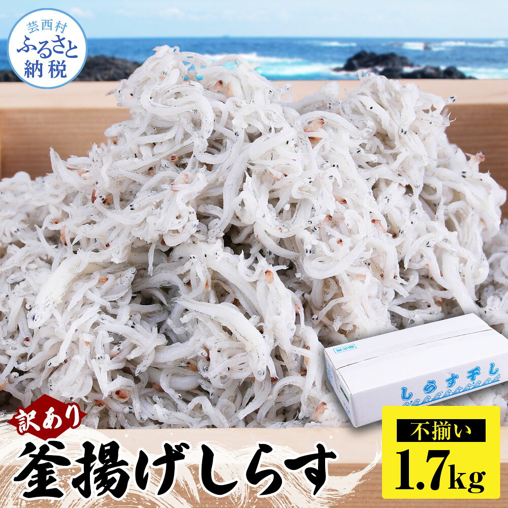 しらす 1.7kg 訳あり 釜揚げしらす しらす干し ちりめんじゃこ 簡易梱包 ご飯のお供 ごはんのお供 離乳食 子供用 食べ物 お試し 訳アリ 大容量 わけあり 不揃い シラス 国産 釜揚げ 新鮮 鮮度 しらす丼 冷凍配送 ふりかけ 減塩 おかず 12000円