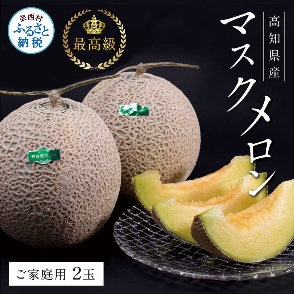 【ふるさと納税】高知県産 高級マスクメロン（ご家庭用）2玉入 故郷納税 2万円【発送期間：4月〜12月（9カ月）】【1月〜3月は気候温度不安定の為出荷不可となります。】〈南国市共通返礼品〉家庭用 訳あり 20000円 果物 フルーツ ランキング 人気