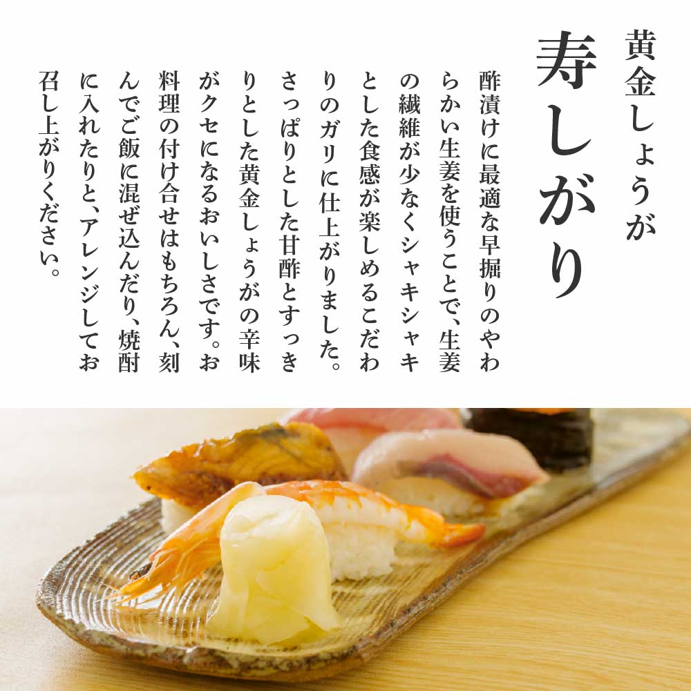 【ふるさと納税】国産黄金しょうが寿しがり 1kg×1~3袋 選べる内容量 ガリ しょうが ショウガ 生姜 坂田信夫商店 黄金しょうが 国産 お寿司 付け合せ 寿司用がり ふるさとのうぜい 故郷納税 7000円~ 返礼品 高知