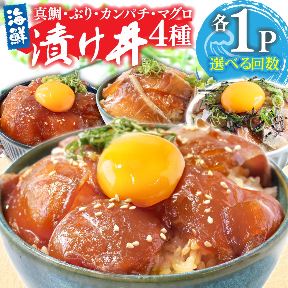漬け丼セット4種 80g×各1P 定期便 選べる回数 海鮮丼 海鮮丼セット 真鯛 ブリ カンパチ マグロ 海鮮 漬け お茶漬け 鯛 ぶり 鰤 勘八 かんぱち まぐろ 冷凍 配送 高知県 高知 故郷納税 ふるさとのうぜい 芸西村 koyofr