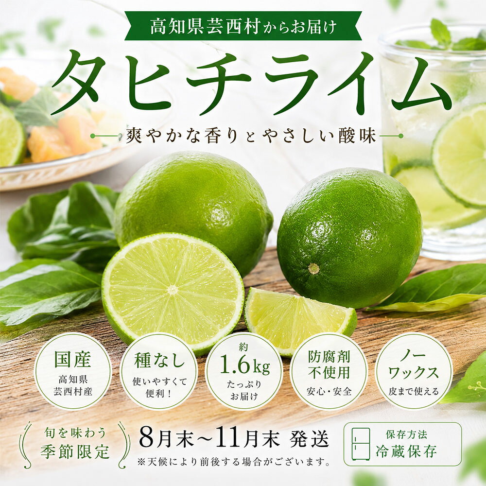 【ふるさと納税】訳あり タヒチライム 約1.6kg ライム サイズおまかせ 国産 種なし 柑橘類 かんきつ類 防腐剤不使用 ノーワックス 新鮮 冷蔵 家庭用 果物 くだもの フルーツ 秋 旬 ジュース カクテル ジンライム 料理 アレンジ 爽やか 芸西村 高知県産 故郷納税 返礼品 f393070-geisei-10002068 高知県芸西村 サンプル画像2