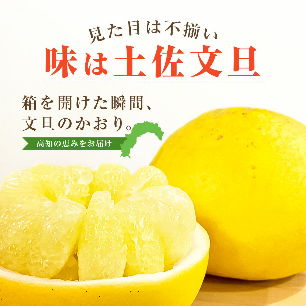 【ふるさと納税】先行予約 訳あり 土佐文旦 文旦 家庭用 約3～10kg M～5L混合サイズ 高知県産 ブンタン ぶんたん 旬 期間限定 柑橘 かんきつ 柑橘類 フルーツ 果物 くだもの デザート おやつ 爽やか 甘い ジュース スイーツ 美味しい おいしい 常温 配送 芸西村 返礼品 f393070-geisei-10002067 高知県芸西村 サンプル画像2