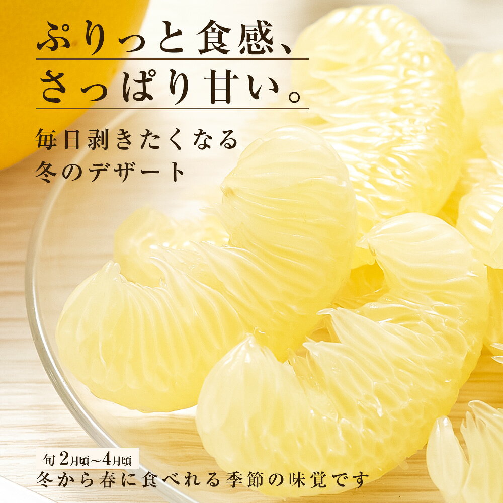 【ふるさと納税】先行予約 訳あり 土佐文旦 文旦 家庭用 約3～10kg M～5L混合サイズ 高知県産 ブンタン ぶんたん 旬 期間限定 柑橘 かんきつ 柑橘類 フルーツ 果物 くだもの デザート おやつ 爽やか 甘い ジュース スイーツ 美味しい おいしい 常温 配送 芸西村 返礼品 f393070-geisei-10002067 高知県芸西村 サンプル画像3