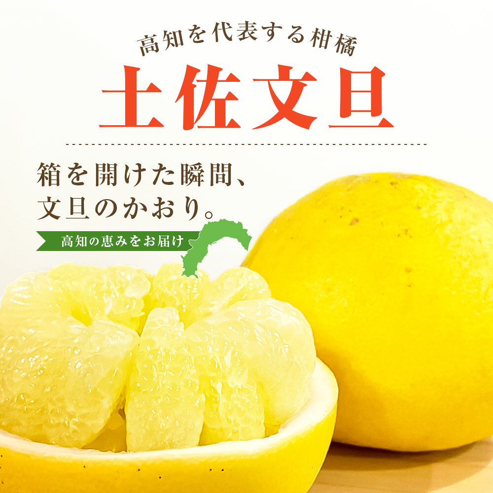 【ふるさと納税】先行予約 文旦 家庭用 約1kg 5kg 10kg 土佐文旦 L～4L 混合サイズ 高知 ブンタン ぶんたん 旬 柑橘 かんきつ 柑橘類 フルーツ 果物 くだもの デザート おやつ 爽やか 甘い スイーツ 美味しい おいしい 常温 配送 芸西村 土佐市 共通返礼品 f393070-geisei-10002075 高知県芸西村 サンプル画像2