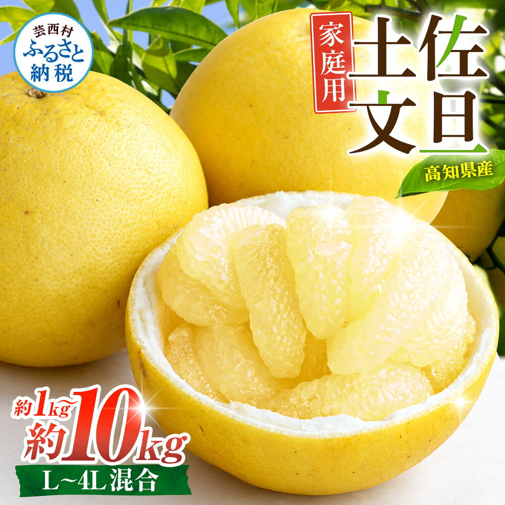 【ふるさと納税】先行予約 文旦 家庭用 約1kg 5kg 10kg 土佐文旦 L～4L 混合サイズ 高知 ブンタン ぶんたん 旬 柑橘 かんきつ 柑橘類 フルーツ 果物 くだもの デザート おやつ 爽やか 甘い スイーツ 美味しい おいしい 常温 配送 芸西村 土佐市 共通返礼品 f393070-geisei-10002075 高知県芸西村 パッケージ画像