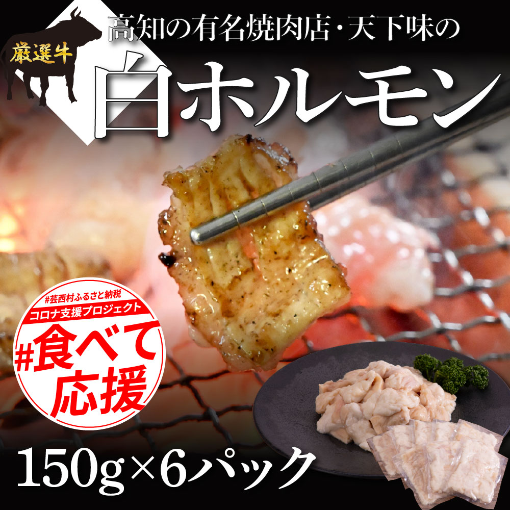 故郷納税 白ホルモン 天下味オリジナル本格塩ダレ漬け(150g×6パック) 高知市共通返礼品 人気 牛肉 お肉 小腸 焼き肉 タレ 焼肉 BBQ バーベキュー 冷凍 小分け おつまみ どんぶり お手軽 食べて応援