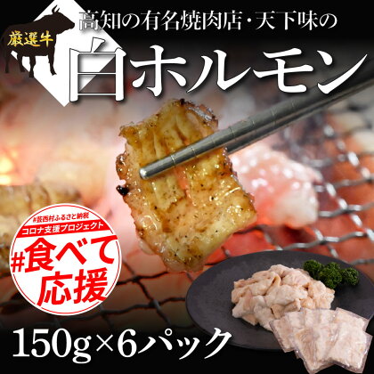 故郷納税 白ホルモン 天下味オリジナル本格塩ダレ漬け（150g×6パック） 高知市共通返礼品 人気 牛肉 お肉 小腸 焼き肉 タレ 焼肉 BBQ バーベキュー 冷凍 小分け おつまみ どんぶり お手軽 食べて応援