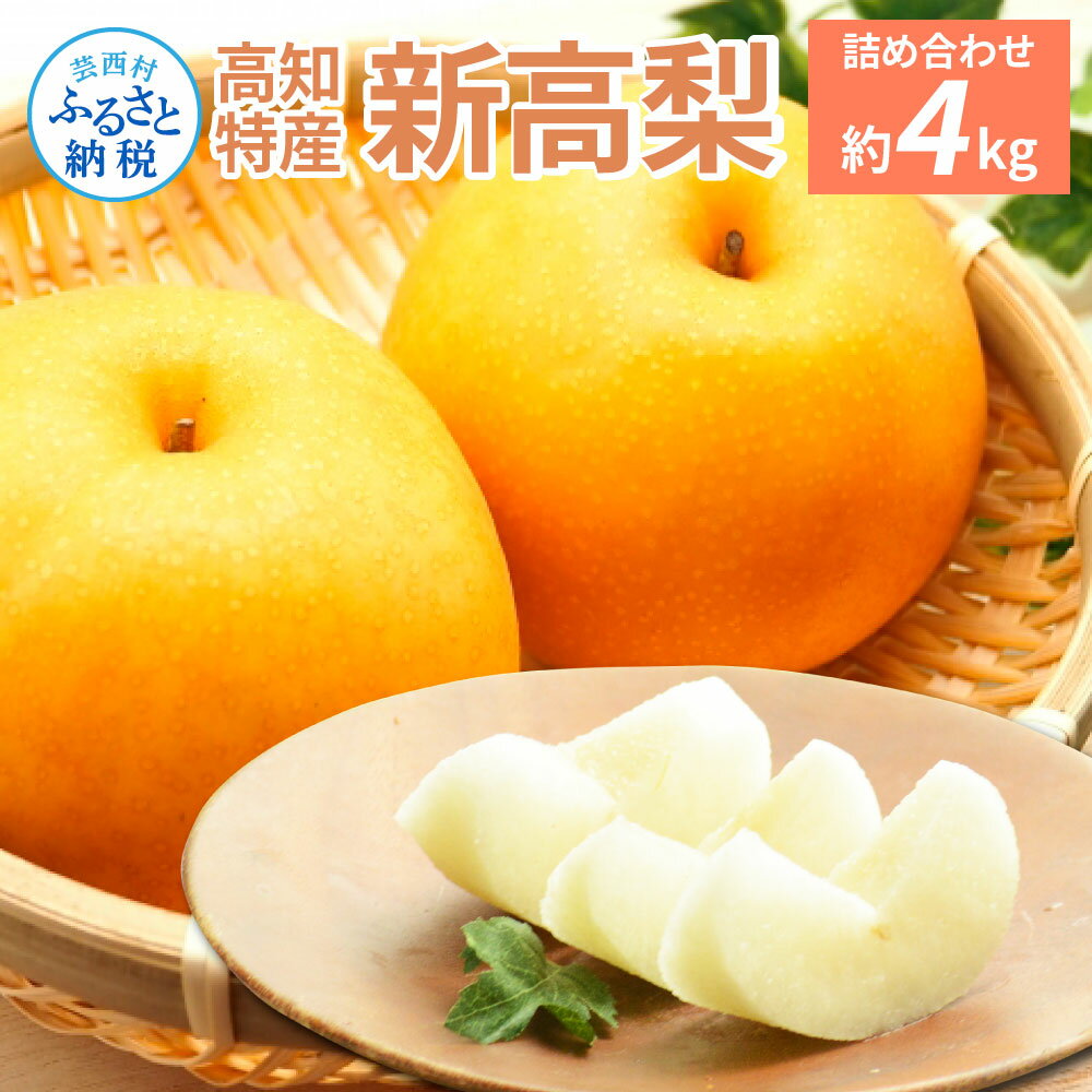 【ふるさと納税】高知特産 新高梨 6‐7玉 約4kg 詰め合わせ 2023 にいたかなし 新高 梨 ナシ 高知 19000円 果物 くだもの フルーツ 甘い 糖度 13度 贈答用 贈り物 ギフト 熨斗 故郷納税 高知県産 返礼品 美味しい おいしい 常温配送のサムネイル