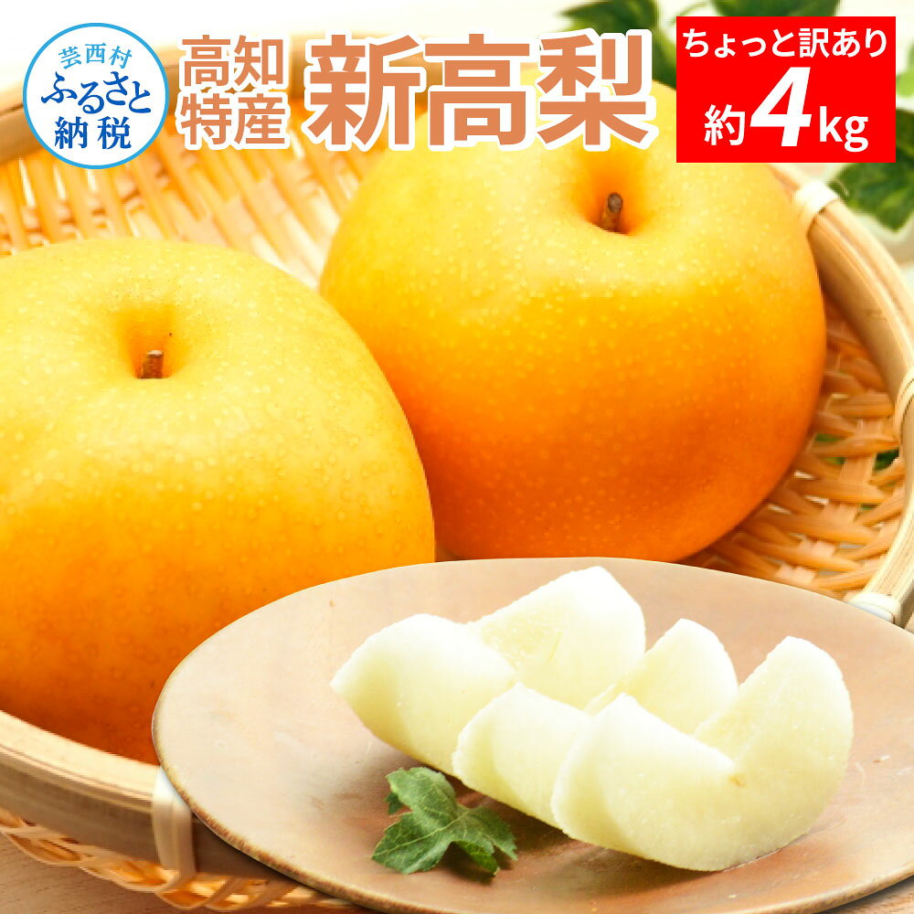 高知特産 新高梨 6‐7玉 約4kg ちょっと訳あり 詰め合わせ 新高 梨 にいたか なし 高知 13000円 果物 くだもの フルーツ 糖度13度 ご家庭用 ご自宅用 規格外サイズ 傷 訳あり 訳アリ 故郷納税 高知県産 返礼品 美味しい おいしい 常温配送