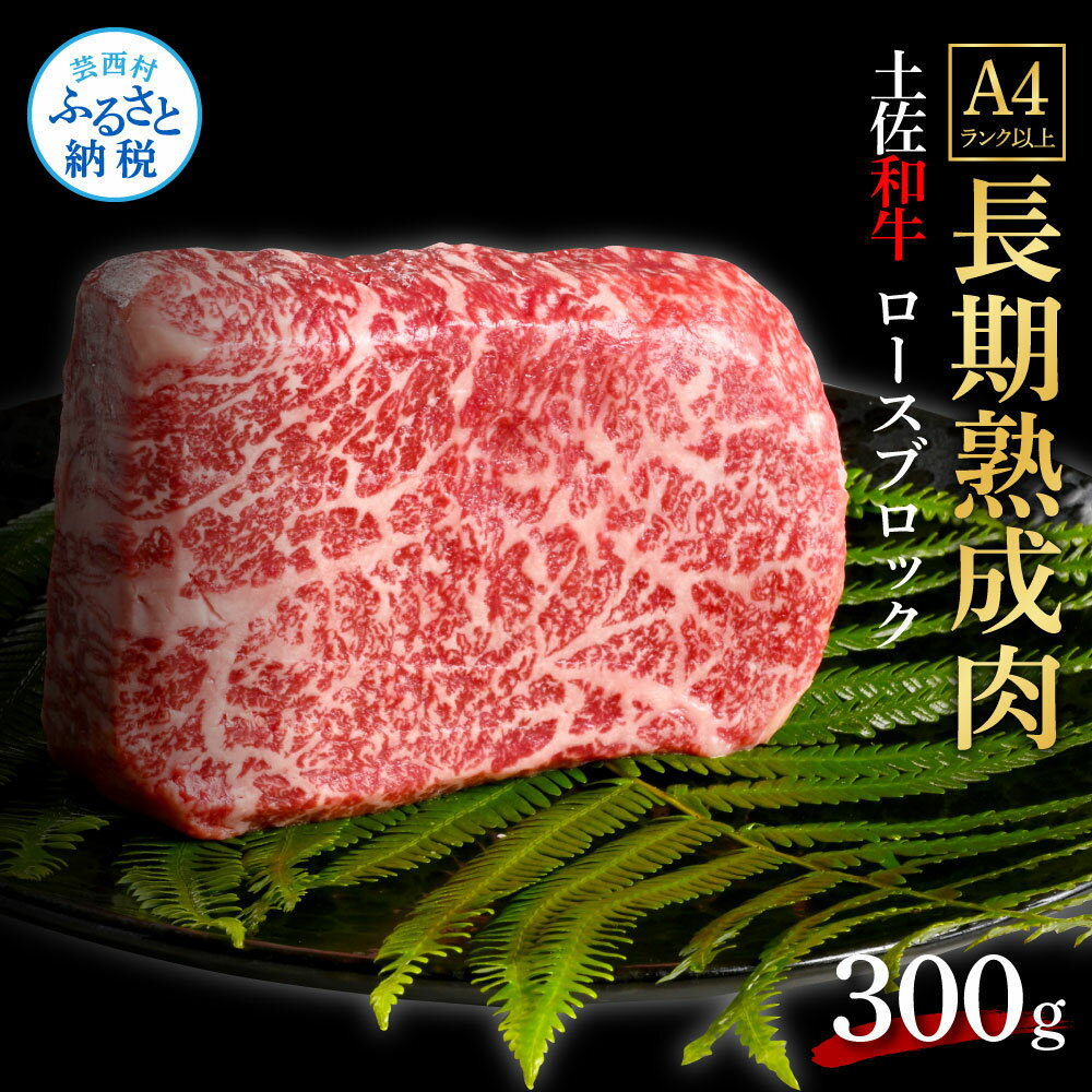 天下味 エイジング工法 熟成肉 土佐和牛 特選ロースブロック 300g エイジングビーフ ロース 牛 ブロック 国産 肉 牛肉 和牛 人気 老舗焼肉店 冷凍 食品 新鮮 真空パック 高級 お祝い 高知 高知県 芸西村 故郷納税 19000円 返礼品 贈り物 贈答 ギフト