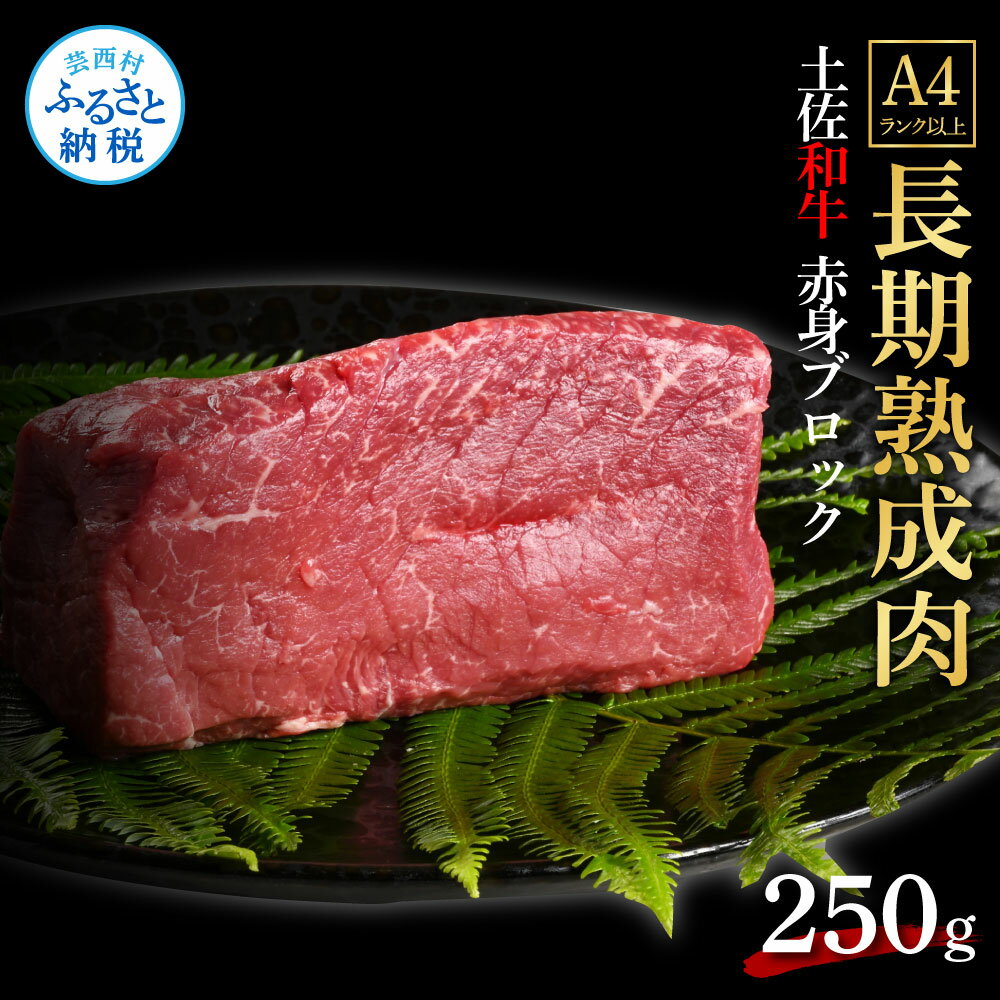 【ふるさと納税】天下味 エイジング工法 熟成肉 土佐和牛 特選 赤身ブロック 250g エイジングビーフ 国産 肉 牛肉 和牛 人気老舗焼肉店 冷凍 新鮮 真空パック 高級 高知 高知県 芸西村 故郷納…