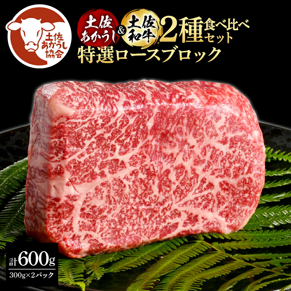 土佐あかうし＆土佐和牛2種食べ比べ（300g×2パック）特選ロースブロック 特選 ロース ブロック肉 牛 牛肉 赤牛 和牛 国産 エイジングビーフ 天下味 エイジング工法 熟成肉 ギフト お取り寄せ 冷凍 配送 送料無料 高知県 ふるさとのうぜい 故郷納税 返礼品