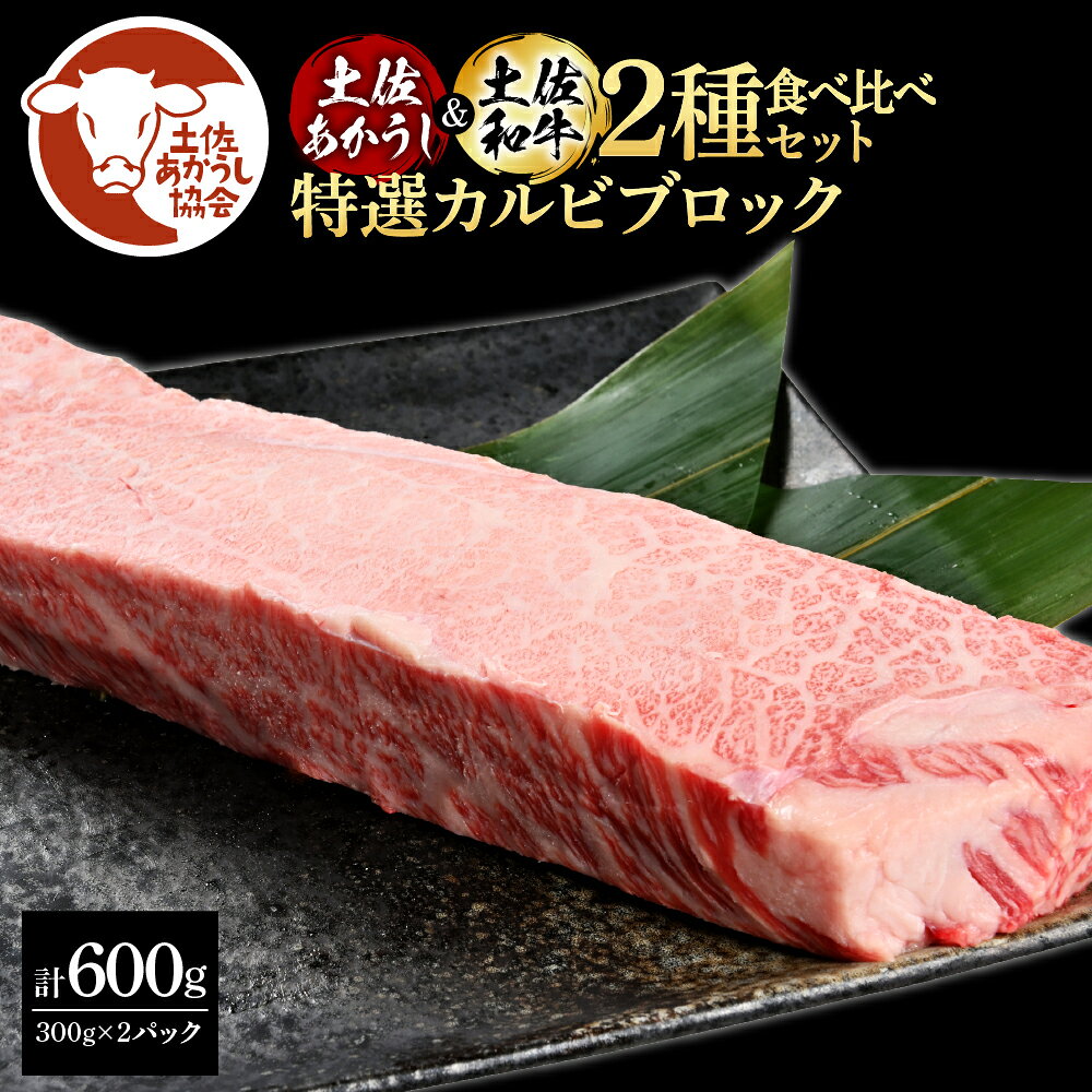 土佐あかうし＆土佐和牛2種食べ比べ（300g×2パック）特選カルビブロック 特選 カルビ ブロック肉 牛 牛肉 赤牛 和牛 国産 エイジングビーフ 天下味 エイジング工法 熟成肉 ギフト お取り寄せ 冷凍 配送 送料無料 高知県 ふるさとのうぜい 故郷納税 返礼品