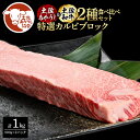 【ふるさと納税】土佐あかうし&土佐和牛2種食べ比べ(500g×2パック)1キロ 1kg 特選カルビブロック 特選 カルビ ブロック肉 牛肉 赤牛 和牛 国産 エ...