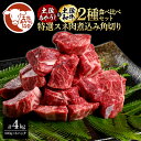 【ふるさと納税】土佐あかうし&土佐和牛2種食べ比べ(500g×8パック)4キロ 4kg 特選スネ肉煮込み角切り 牛肉 赤牛 和牛 カレー シチュー 国産 エイジングビーフ 天下味 エイジング工法 熟成肉 贈り物 ギフト お取り寄せ 冷凍 高知県 ふるさとのうぜい 故郷納税 返礼品