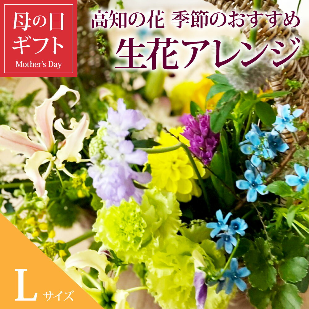 故郷納税 2万円 高知の花 季節のおすすめの生花のアレンジ L 母の日 プレゼント ギフト お祝い 供花 お供え ユリ ブルースター お花 おしゃれ そのまま飾れる フラワーアレンジメント お母さん 40代 50代 60代 70代 女性 プレゼント 故郷納税