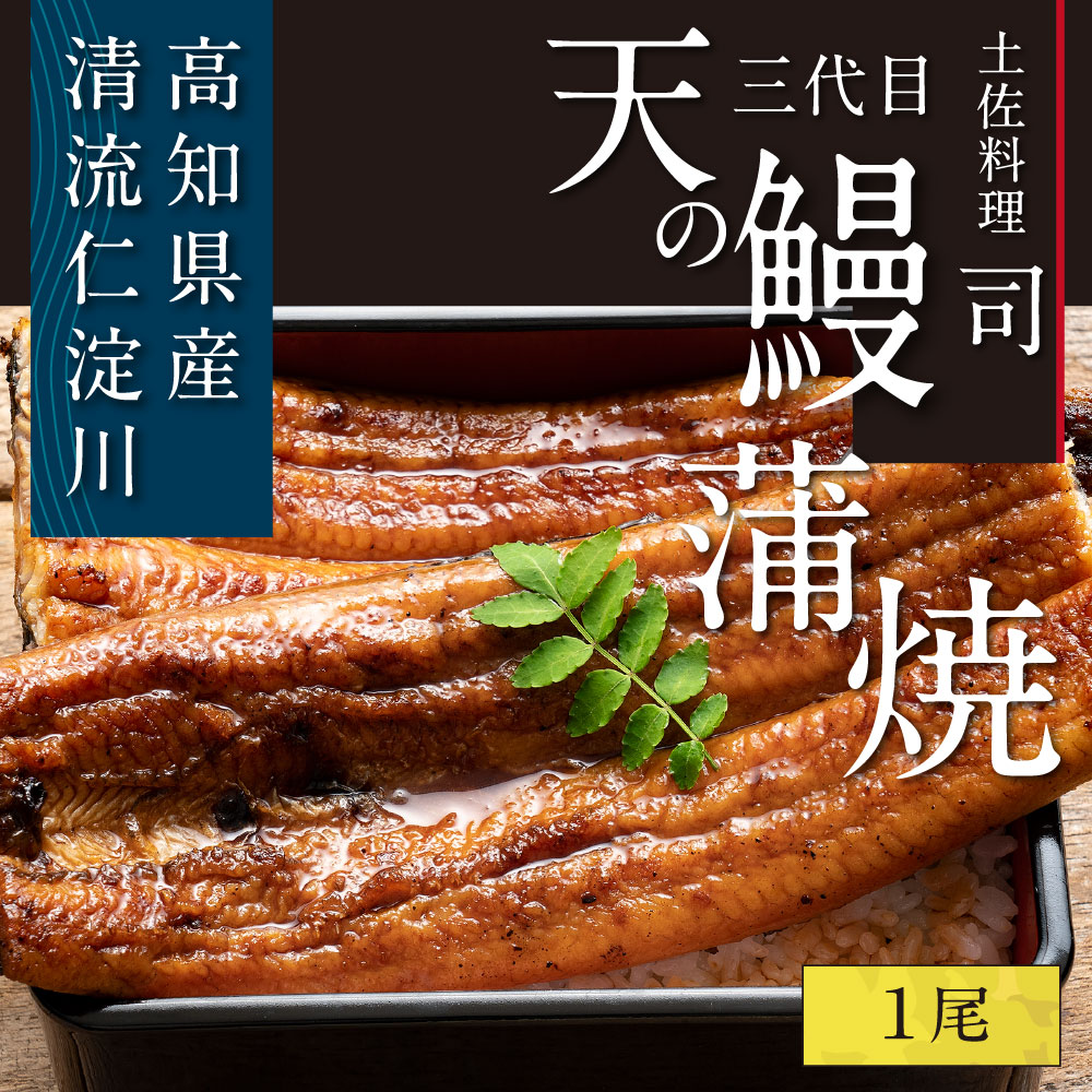 【ふるさと納税】 “土佐料理司”三代目天の鰻蒲焼1尾セット 故郷納税／「仁淀川」水系の地下水使用 完全無投薬養殖 国産・高知県産〈高知市共通返礼品〉うなぎ 真空パック (ウナギ・たれセット) コロナ 支援品 ギフト プレゼント 食べ物 健康 お中元 御中元 のし 熨斗