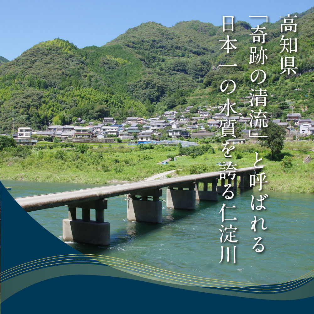 【ふるさと納税】“土佐料理司”三代目天の鰻蒲焼2尾セット「仁淀川」水系の地下水使用 完全無投薬養殖 国産・高知県産〈高知市共通返礼品〉うなぎ 真空パック (ウナギ・たれセット) コロナ 支援品 ギフト プレゼント 食べ物 健康 故郷納税 2万円台 お中元 御中元 のし